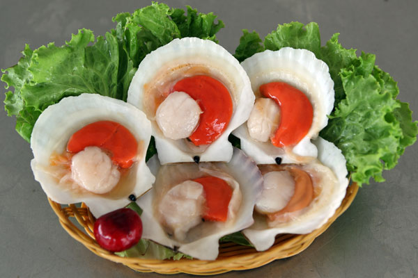 ���뚤����ؐ