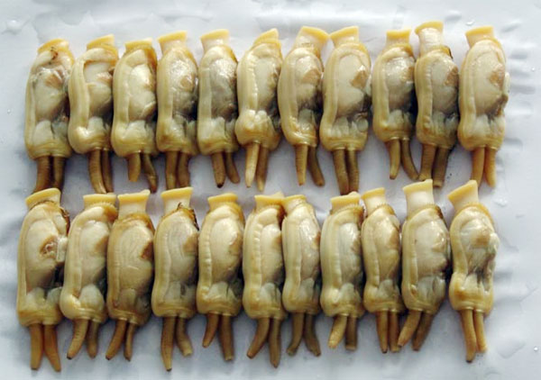 ����O�|��