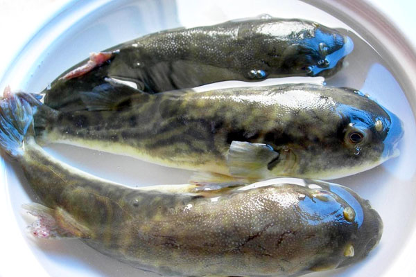 �����~(y��)